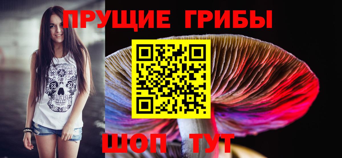 Псилоцибиновые грибы GOLDEN TEACHER Коркино