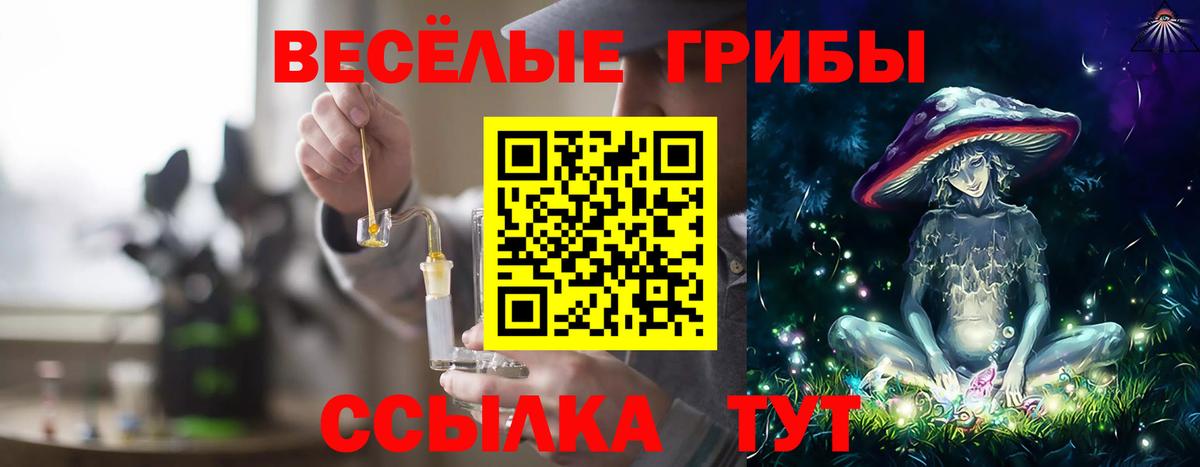 Коркино  Галлюциногенные грибы мицелий  Псилоцибиновые грибы GOLDEN TEACHER  как найти закладки  Вход с VPN 